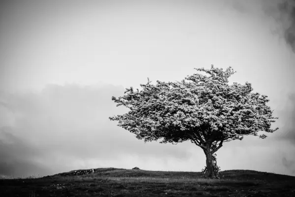 Stock  Photos 0022